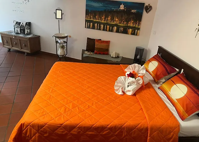 Historic Center Via Po Apartment